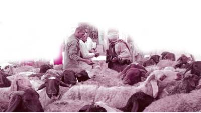 استعدادات العيد