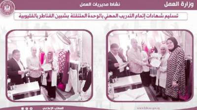 تسليم شهادات إتمام التدريب المهنى لشباب «شبين القناطر»