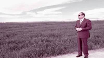 مصر تزرع المستقبل