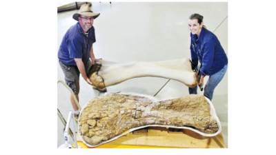 قبل 240 مليون سنة!