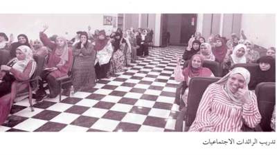 استقرار مجتمعى