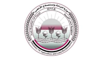 تعزيز تنافسية الصادرات