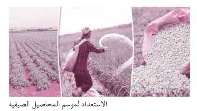«كارت الفلاح» 