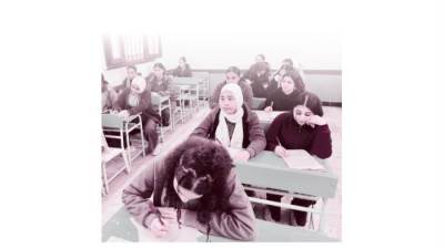 الامتحانات  «أون لاين»