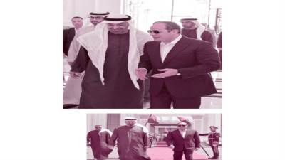الشقيقان